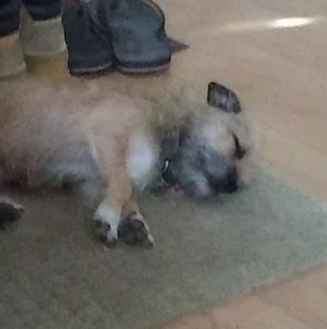 Meet your Posher, Ronald